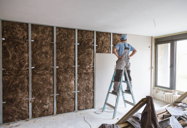 Noise Reducing Wall Insulate